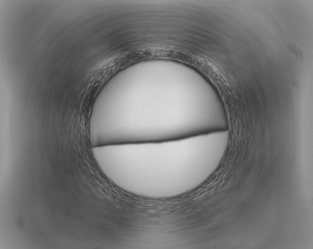 X0000116641062200912140940