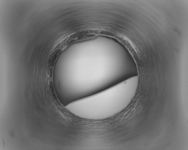 X0000116641064200912140940