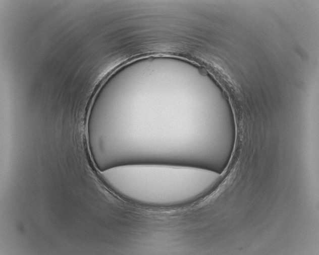 X0000116641073200912140940