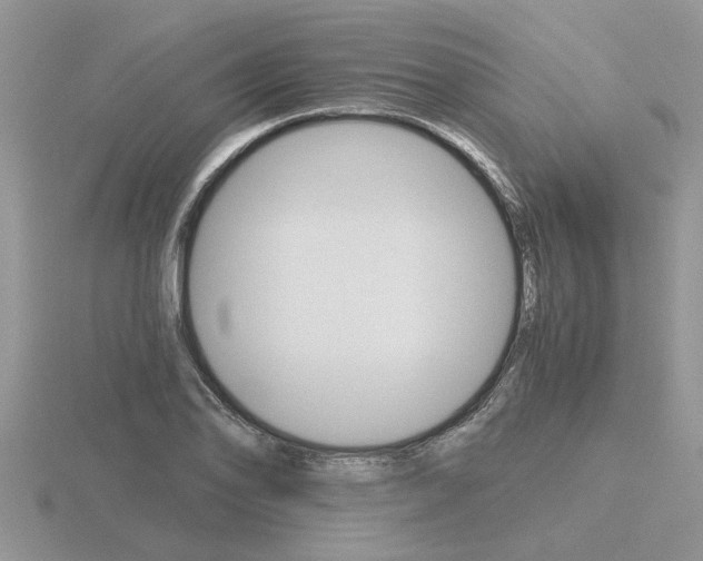 X0000116641078200912140940