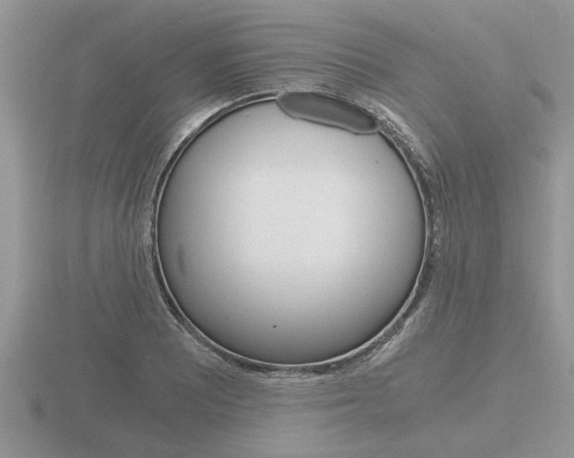 X0000116641081200912140940