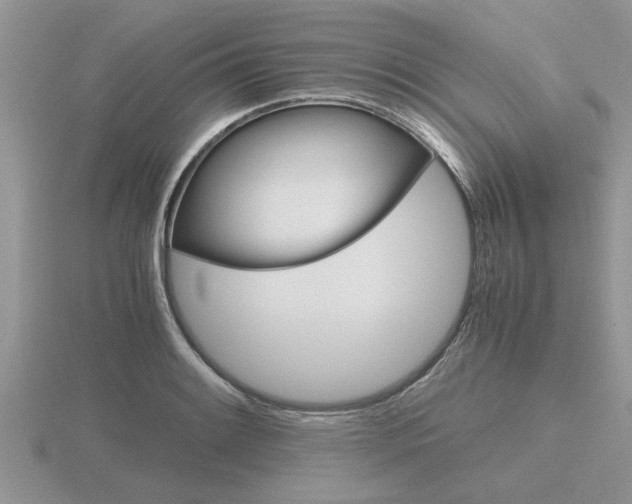 X0000116641084200912140940