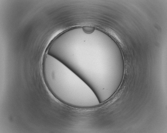 X0000116641087200912140940