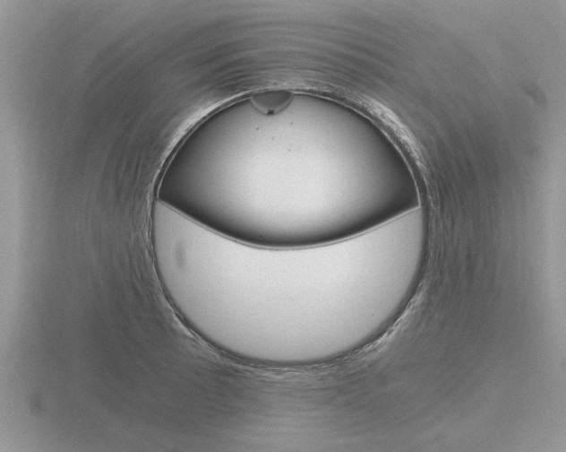 X0000116641089200912140940