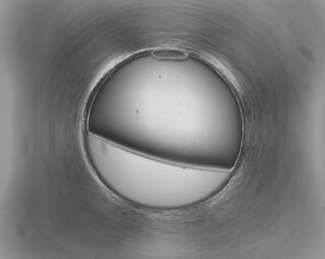 X0000116641093200912140940