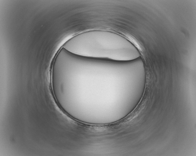 X0000116641095200912140940