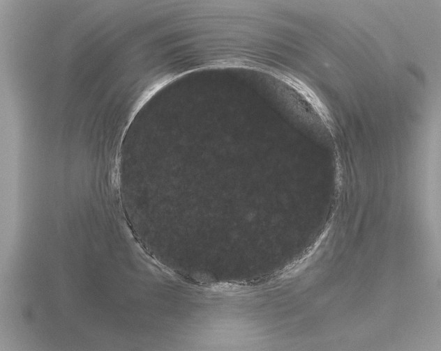 X0000116641097200912140940