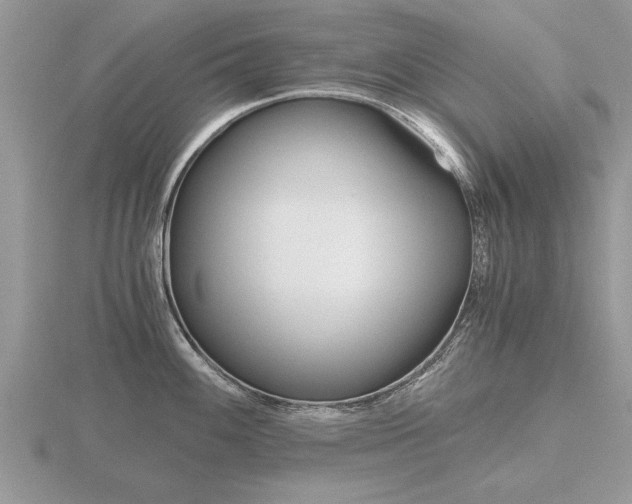 X0000116641100200912140940
