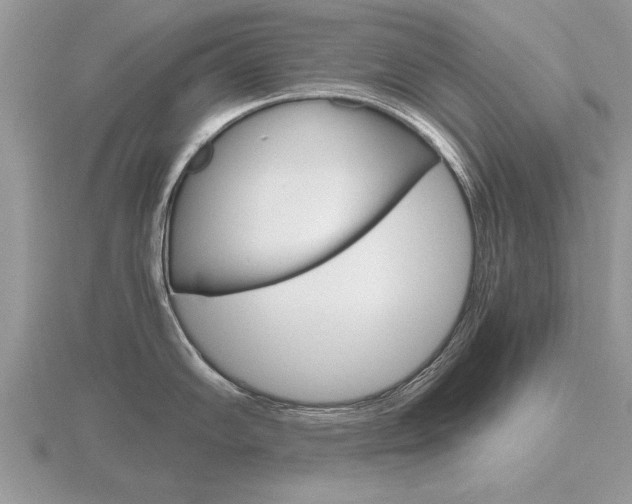 X0000116641102200912140940
