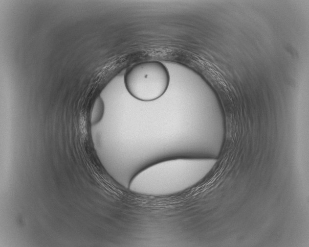X0000116641106200912140939