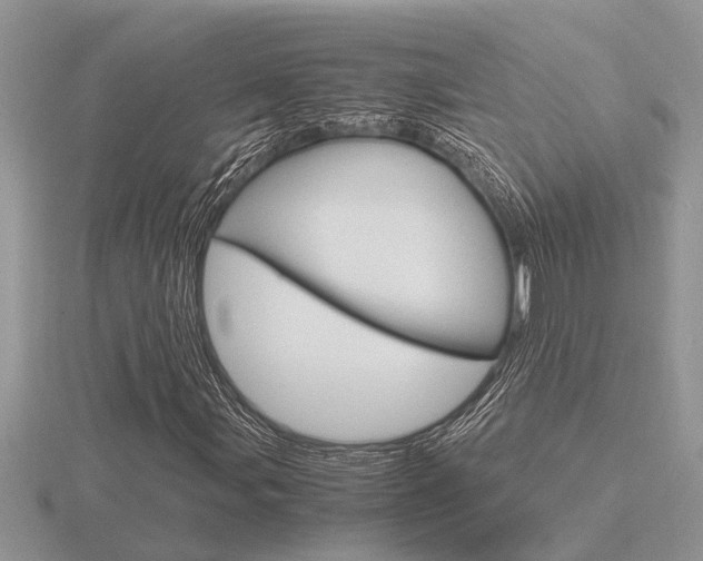 X0000116641107200912140939