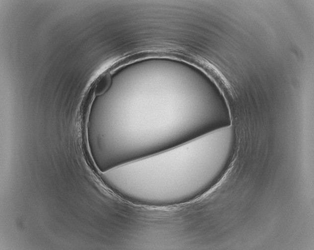 X0000116641114200912140939