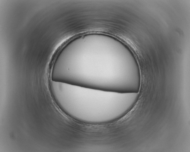 X0000116641119200912140939