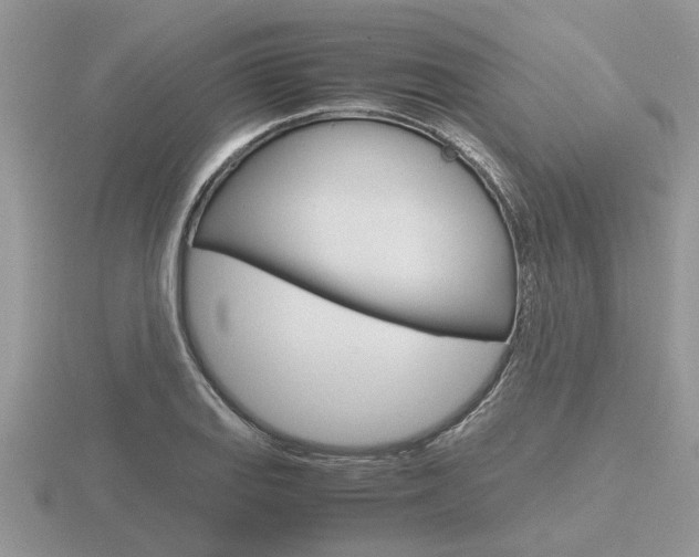 X0000116641127200912140939