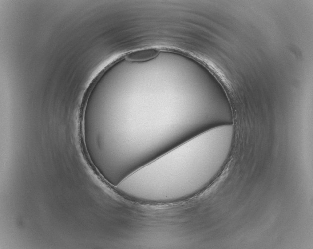 X0000116641134200912140939