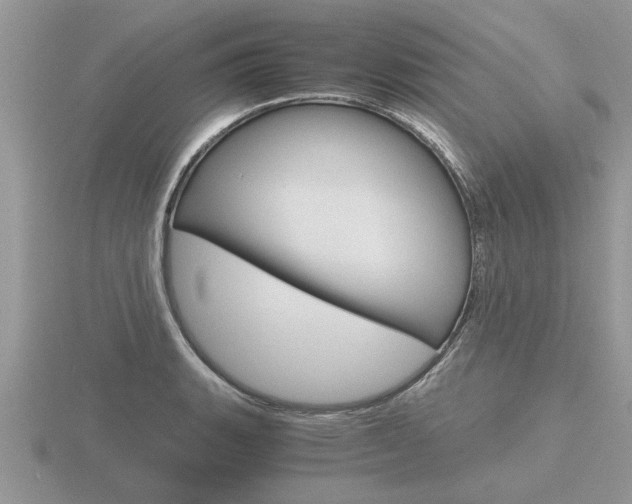 X0000116641135200912140939