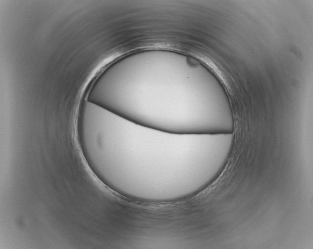 X0000116641139200912140940