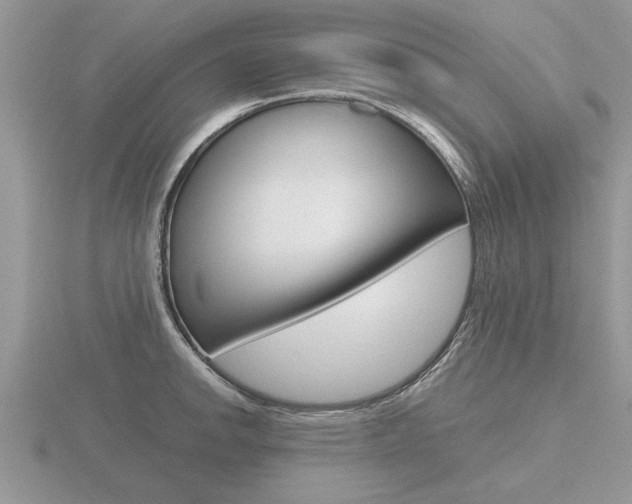 X0000116641142200912140940