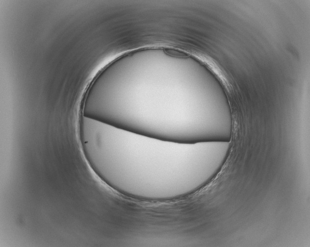X0000116641143200912140940