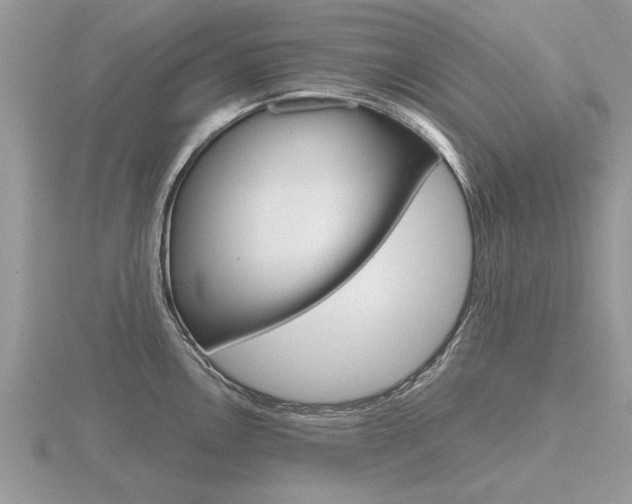 X0000116641146200912140940