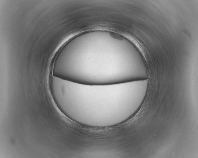 X0000116641147200912140940