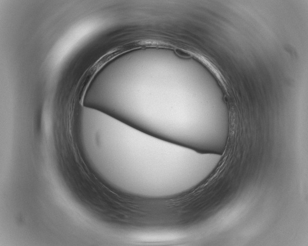 X0000116641151200912140940
