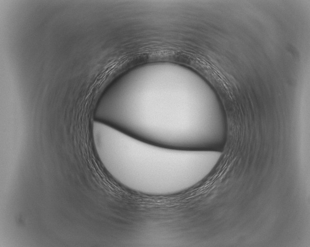 X0000116641153200912140939