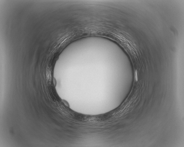 X0000116641155200912140939