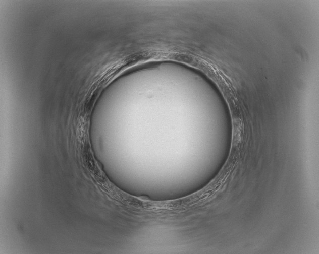 X0000116641157200912140939