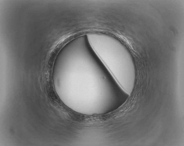 X0000116641159200912140939