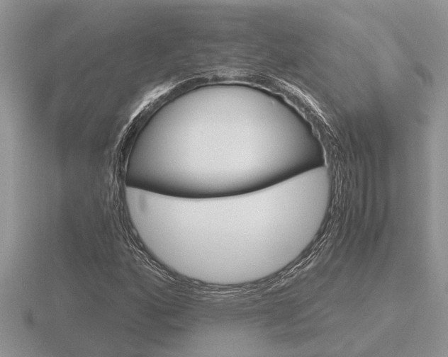 X0000116641160200912140939