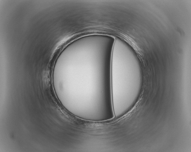 X0000116641164200912140939