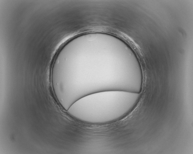 X0000116641174200912140939