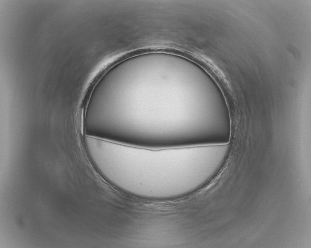 X0000116641175200912140939