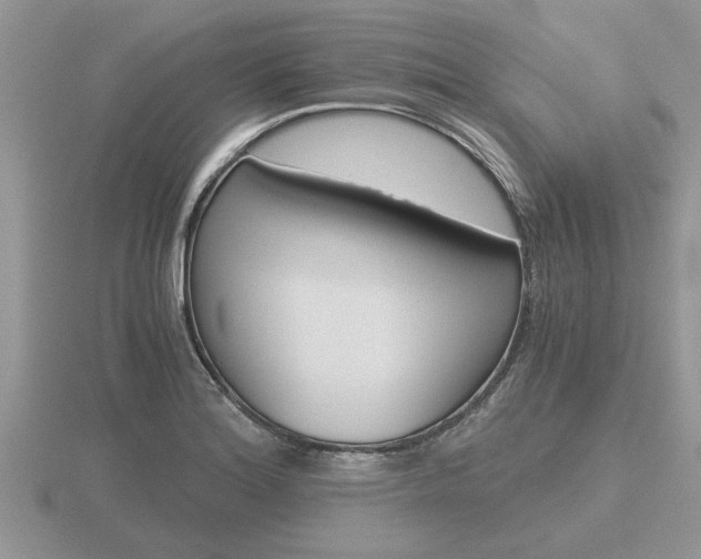 X0000116641180200912140939