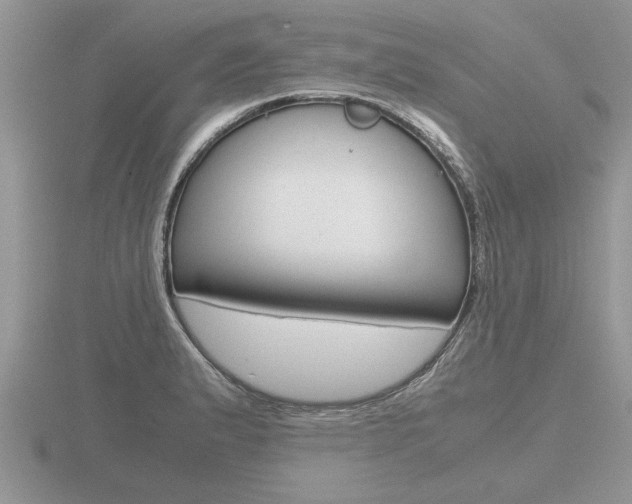 X0000116641183200912140939