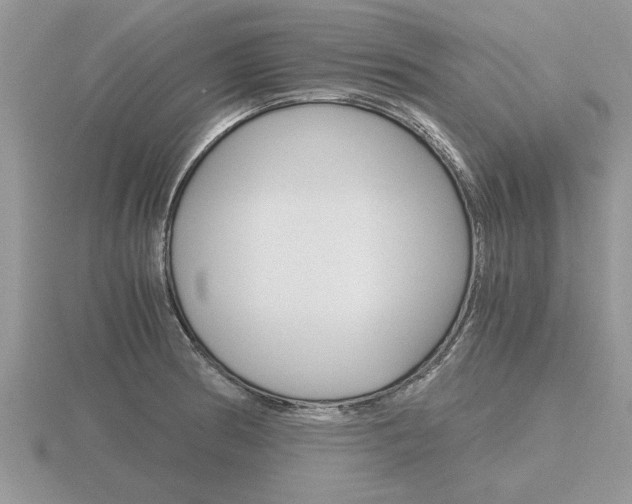 X0000116641186200912140939