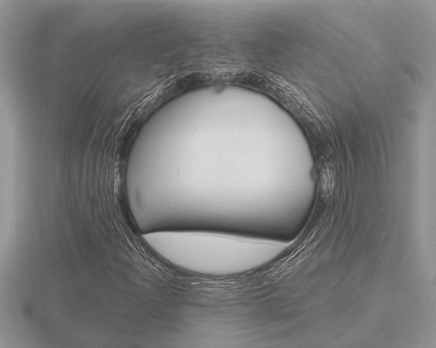 X0000116641204200912140938