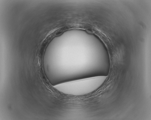 X0000116641206200912140938