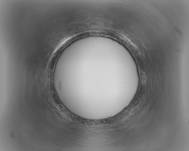 X0000116641208200912140938