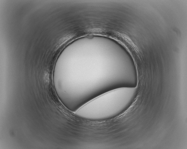 X0000116641209200912140938