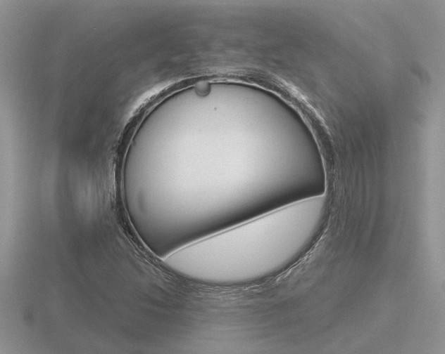 X0000116641214200912140938