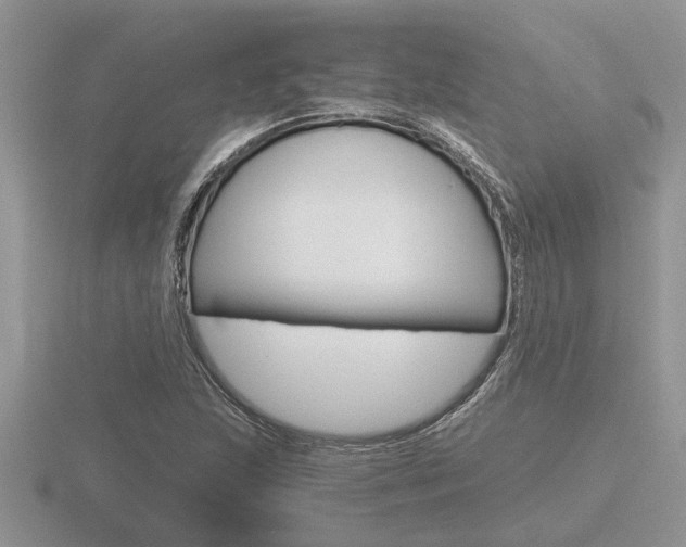 X0000116641215200912140938