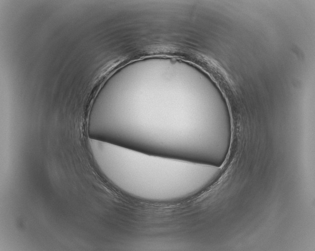 X0000116641217200912140938