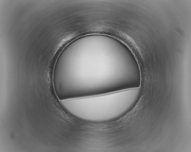X0000116641218200912140938