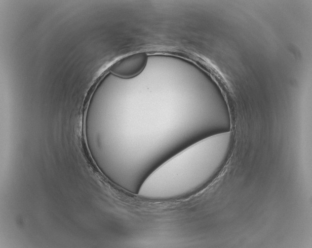 X0000116641220200912140938