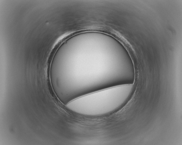X0000116641222200912140938