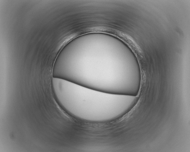 X0000116641225200912140938