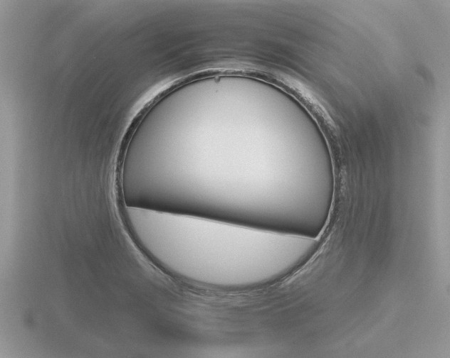 X0000116641229200912140938