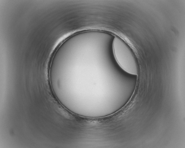 X0000116641230200912140938